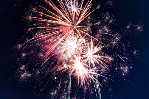Pets and Fireworks!
